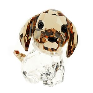 Swarovski（スワロフスキー） 5063329 アクセサリー