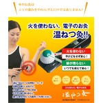 電子温ねつ灸