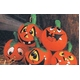 RUBIE'Si[r[Yj HALLOWEENinEBj 7inch Inf.Pumpkin 5pcs.i7C` pvL 5.j摜ŏP