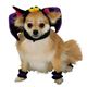 RUBIE'Si[r[Yj PETiybgpRXvj ybgRXv Headpiece  4 Paw Cuffs Batiwbhs[X  4 p[eB[ JtX obgj MTCY摜ŏP