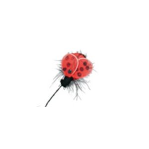 RUBIE'S i[r[Yj 95124 Ladybug Headband摜Q