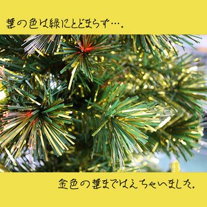 90cmt@Co[c[(NX}Xc[ F/Ft) T403-90摜Q