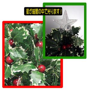yNX}Xz60cm t@Co[NX}Xc[iAj T229-60摜Q