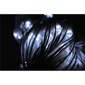 yNX}XzFLED176 C~l[VCgi1~2mlbg^ R[h A\j 4560371440974摜R