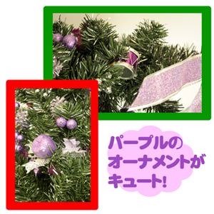 yNX}Xz55cm NX}Xc[ip[vj C-12446摜Q