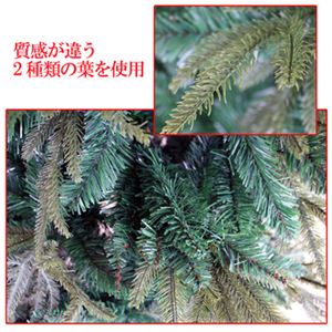 yNX}Xz240cm ~bNXPENX}Xc[ SP604-8摜Q