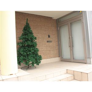 yNX}Xz210cm fbNXNX}Xc[ XY-004摜R