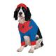 disguise Classic Spiderman ^ Spiderman Pet L XpC_[} ybgRX`[摜ŏP