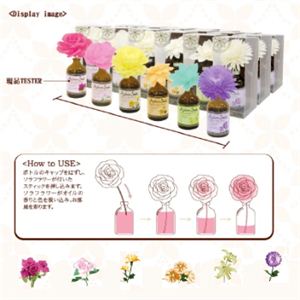 A[A\ [tOX [摜Q
