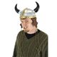 elope VIKINGiLbvj摜ŏP