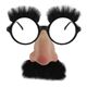 elope Groucho Glassess iKlj摜ŏP