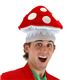 elope MUSHROOMiLbvj摜ŏP