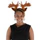 MOOSE HEADBAND iJ`[Vj摜ŏP