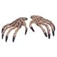 81535 Shrunken Hands-1pair VP nh摜ŏP