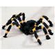 05104 Yellow Black spider-S CG[ ubN XpC_[摜ŏP