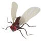09560 Giant Fly WCAg tC nG摜ŏP