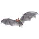 85592 Light Up brown Bat CgAbv uE obg摜ŏP