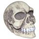 82049 Creepy Skull摜ŏP