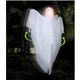 85570 Hanging Sonic Rotating Ghost摜ŏP