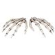 81534 Skeleton Hands-1pair XPgnh摜ŏP