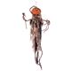 RUBIE'Si[r[Yj M36920 Hanging Pumpkin Ropes摜ŏP