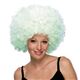 RUBIE'Si[r[Yj 50412 Glow Afro Wig摜ŏP