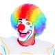 RUBIE'Si[r[Yj 50764 Popular Price Clown Wig摜ŏP
