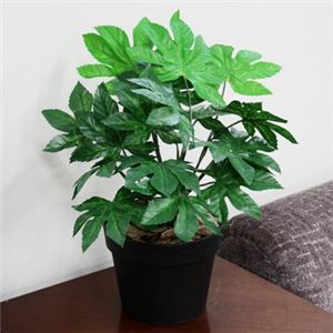 人工観葉植物 ヤツデ 45cm