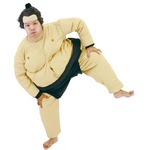 【コスプレ】 相撲コスチューム