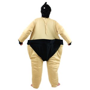 Patymo oRX`[摜Q