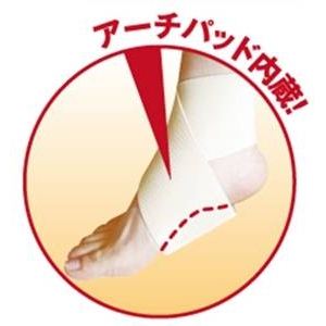 Ђ̖˓c搶JI邪鑫A[`y2Zbgz L摜S