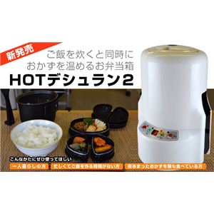 HOTfV2 zCg HDS-2W摜Q