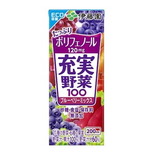 【まとめ買い】伊藤園 充実野菜 ブルーベリーミックス 紙パック 200ml×24本（1ケース）