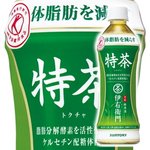 【まとめ買い】サントリー 伊右衛門 特茶 （特定保健用食品/トクホ飲料） 500mlペット×24本（1ケース）