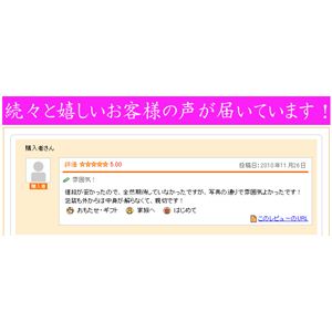 YW9024xr[h[u[Xxr[h[~TobNv ubN摜R