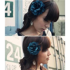 HFRT[W2WAYwAANZC030402k p[v摜Q