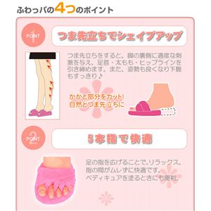 _CGbgrT_Xbp摜Q