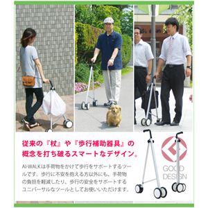 AI-WALK ACEH[N Vo[ nC^Cv TW-210摜Q