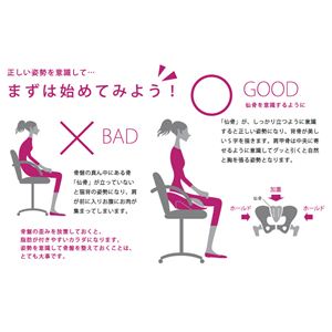 hihip nCqbv pTu`FA On the Chair HHI-EV-R^P001 bh^p[v摜S