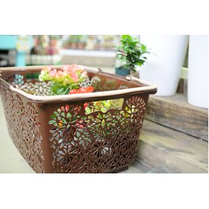 yS10FI{zMAHALO BASKETi}noXPbgjVRNbL[@MB005yȃ}CoXPbgz摜S