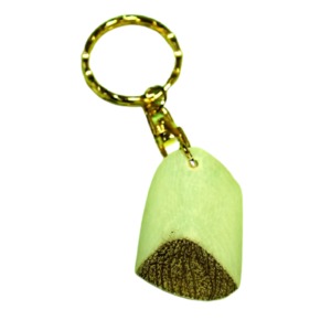 【ピラルクのウロコ Mサイズ 1個】ペルーアマゾンからの直輸入　淡水魚でとても希少なピラルクのウロコのキーホルダー 約4cm ★(CITES)取得後の正式輸入品 