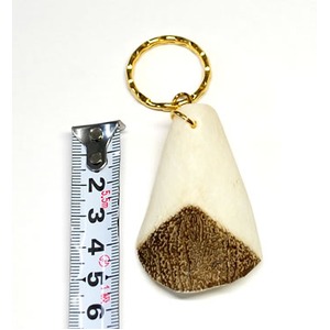 【ピラルクのウロコ Lサイズ 1個】ペルーアマゾンからの直輸入　淡水魚でとても希少なピラルクのウロコのキーホルダー 約5cm ★(CITES)取得後の正式輸入品 