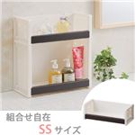 天馬 整理ラック プロフィックス ルームラック SS ブラウン