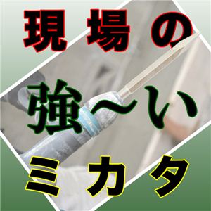 ͔jӁIϖՐ؂ꖡocOdn}[An}[hp u|Cg^`[^ςEnc 1_摜R