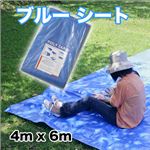 丈夫でBIGサイズ！運動会やレジャー、防災、建築現場など／ブルーシート 4m×6m／1点