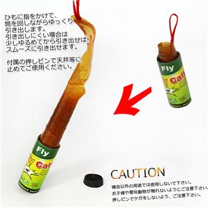 낢قǂ悭߂IISESEQ̃nG߂Lb`[^4 1pbNi4j摜Q