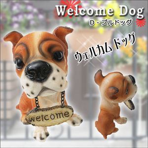 gՂI񂪂o}IWELCOME DOG^I[ig 6 CFuh[g[o[ 1_摜5XV