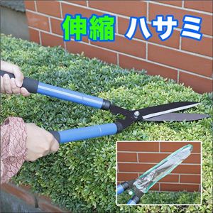 Lk݁I_ő劈I荞݃nT~^LknT~  1_摜R