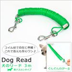 コイル状で自在に伸縮！足がリードに絡まない！ぐんぐんのび〜る犬のリード／3m 1点