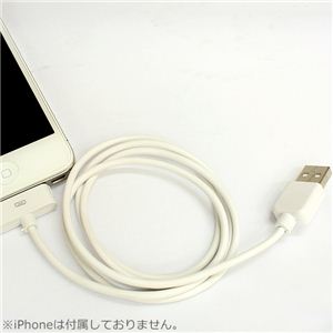 2֗IiPhone^iPodp USB[dP[u  1摜Q